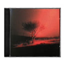 Joji - Piss In The Wind