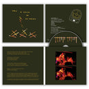 Glissandro 70 - G70 2: Bones Of Dundasa