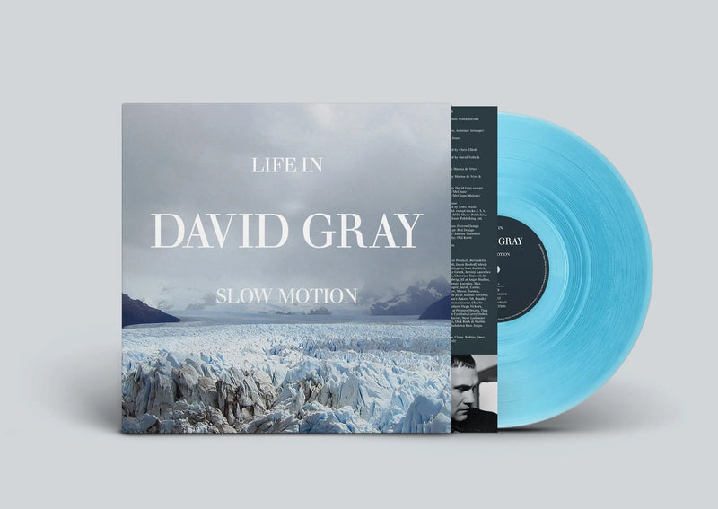 David Gray - Life In Slow Motion