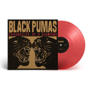 Black Pumas - Chronicles Of A Diamond