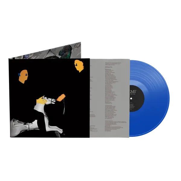 MGMT MGMT　LPレコード MGMT – MGMT – Vinyl (180 gram, LP, Album), 2013 [r4904237] | Discogs