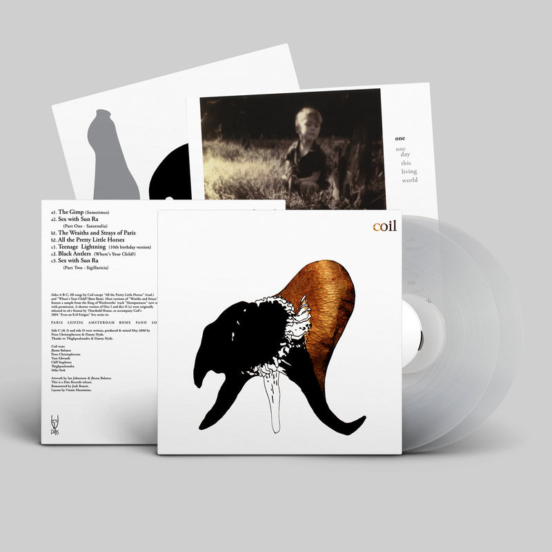 Coil - Black Antlers