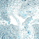 Tempalay - ((ika)) CD Edition