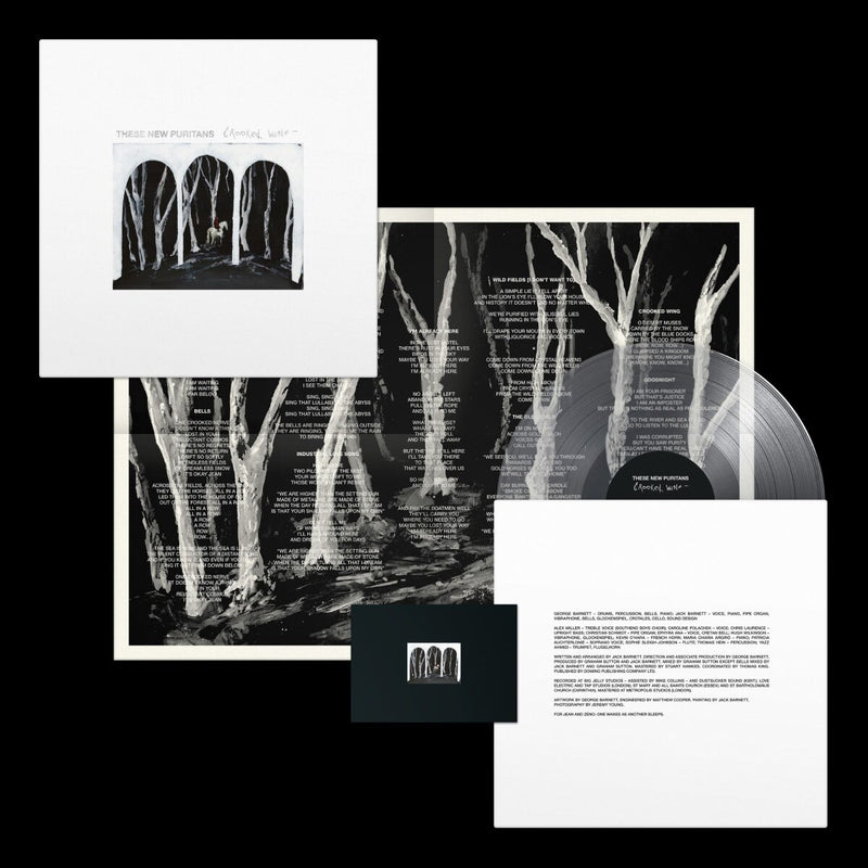 These New Puritans - Crooked Wing