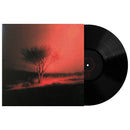 Joji - Piss In The Wind