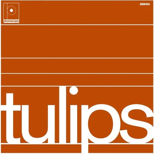 Maston - Tulips