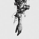 mouse on the keys – The Flowers Of Romance