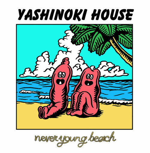 never young beach STORY LP 重量版 レコード
