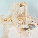 Pale Saints - In Ribbons (30th Anniversary Edition)