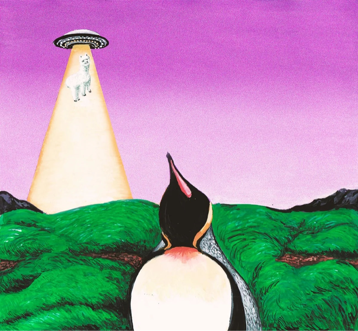 South Penguin - Y