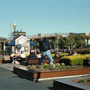 Sunny Day Service - Sunny Beat