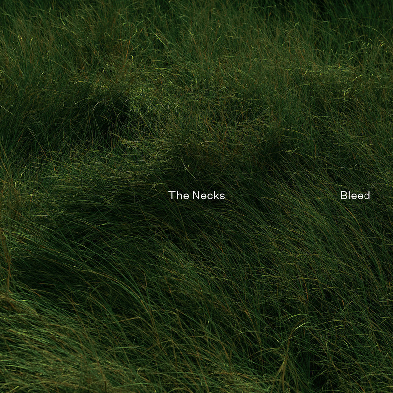 The Necks - Bleed [PRE-ORDER, Release Date: 17-JAN-2025]