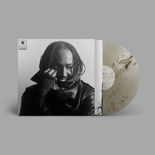 【特典完備】Thundercat Distracted 限定盤/帯付/レコード Thundercat - Distracted