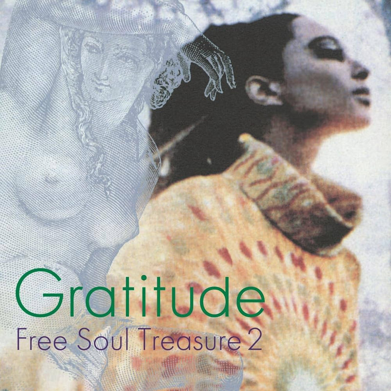 Various - Gratitude SUBURBIA meets ULTRA-VYBE "Free Soul Treasure 2"