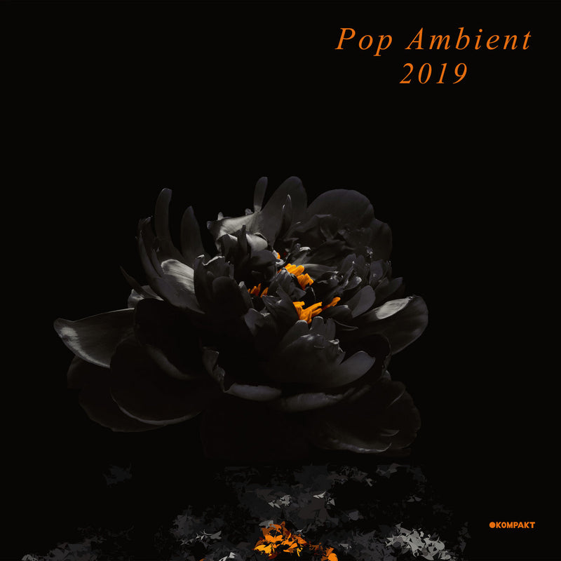 Various - Pop Ambient 2019