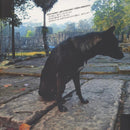 灰野敬二 Keiji Haino / Jim O'Rourke / Oren Ambarchi - Only Wanting To Melt Beautifully Away Is It A Lack Of Contentment That Stirs Affection For Those Things Said To Be As Of Yet Unseen