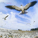 高中正義 Masayoshi Takanaka - SEYCHELLES