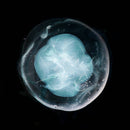 A Winged Victory For The Sullen - The Undivided Five