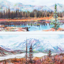 Analogfish - 荒野 / On the Wild Side