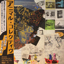 Animal Collective - Time Skiffs