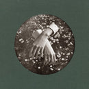 aspidistrafly - A Little Fable