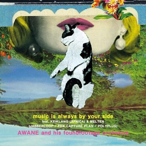 Awane And His Foundfootage Orchestra - music is always by your side / something about us (the LEWD HERTZ live dub)