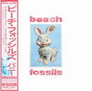 Beach Fossils - Bunny