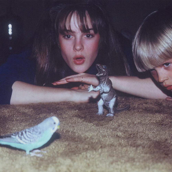【新品未開封】【レコード】Big Thief Masterpiece s-l400.jpg