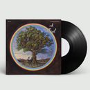 Bill Fay - Countless Branches