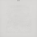 Bon Iver - Bon Iver (10th Anniversary Edition)