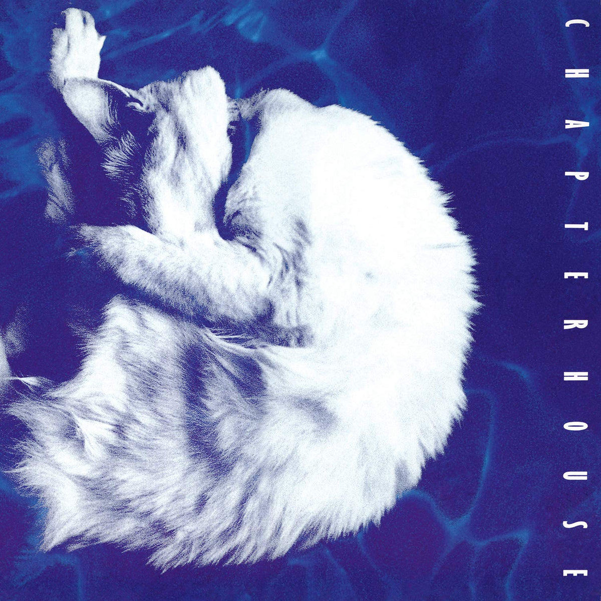 CHAPTERHOUSE WHIRLPOOL 限定版 Chapterhouse - Whirlpool