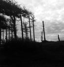 Dakota Suite, Quentin SirJacq - The Indestructibility Of The Already Felled