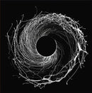 Dawn Of Midi - Dysnomia