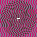 Deerhunter - Cryptograms / Fluorescent Grey