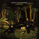 Echo & The Bunnymen - Evergreen