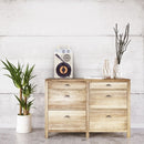 ANABAS audio Portable record player GP-N3R