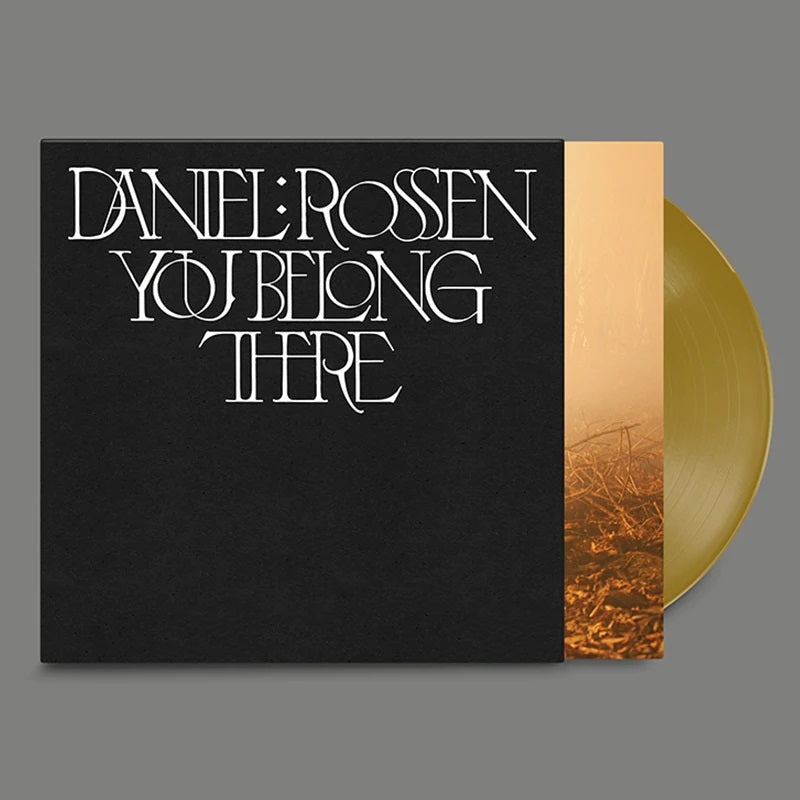 Daniel Rossen - You Belong There