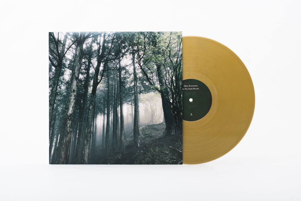 Akira Kosemura - In The Dark Woods
