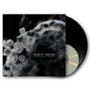 Tindersticks with Thomas Belhom and Christine Ott - Minute Bodies - The Intimate World Of F. Percy Smith