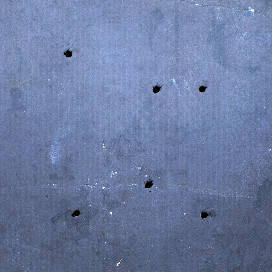 洋楽 Nine Inch Nails Bird Box vinyl box set Trent Reznor & Atticus Ross - Bird Box / Null 09 Extended