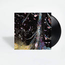 松田美緒 Mio Matsuda - La Selva