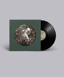 aspidistrafly - A Little Fable