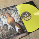 ZAÄAR - Magická Džungl’a