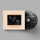 Mitski - The Land Is Inhospitable And So Are We