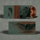 ruò tán 若潭 - 石 Stone