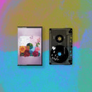 Zenizen - P.O.C. (Proof of Concept)