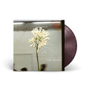 Daughter - Stereo Mind Game