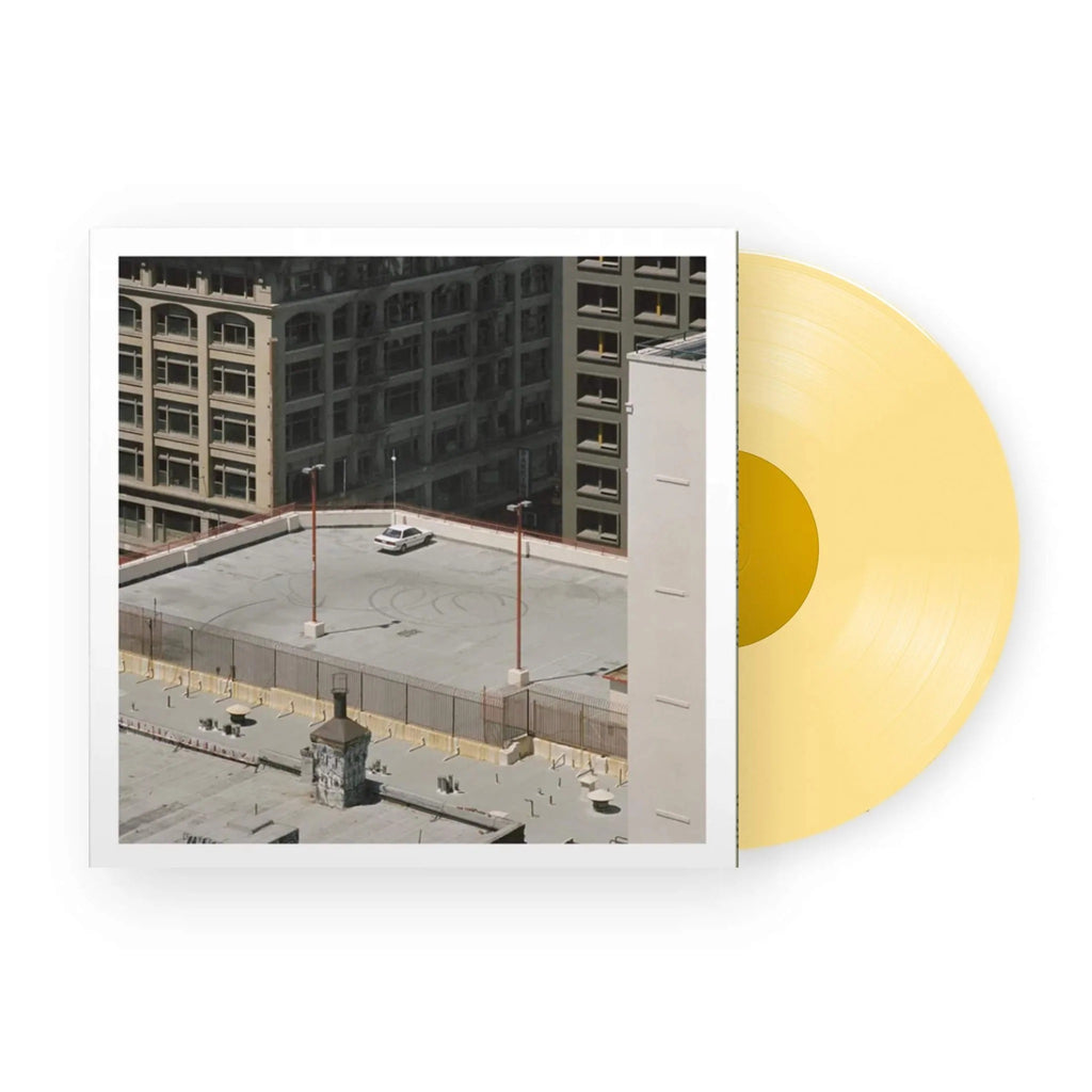 Bee Vinyl - ¡AM de Arctic Monkeys disponible en CD y