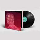 Max Richter - Voices