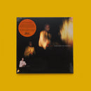 Laraaji - Flow Goes The Universe